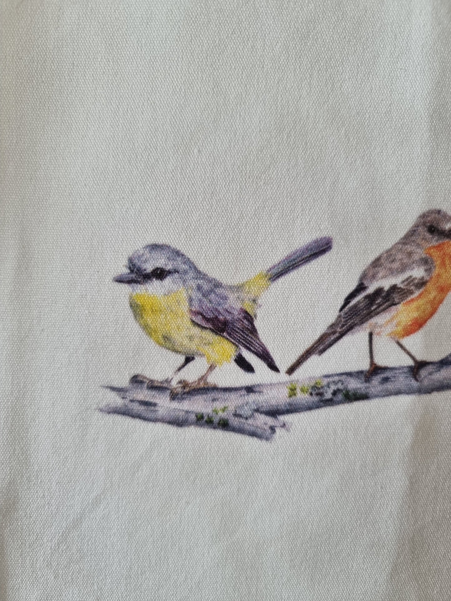 Tote Bag - Nature's Melody: An Australian Robin Quartet - Small