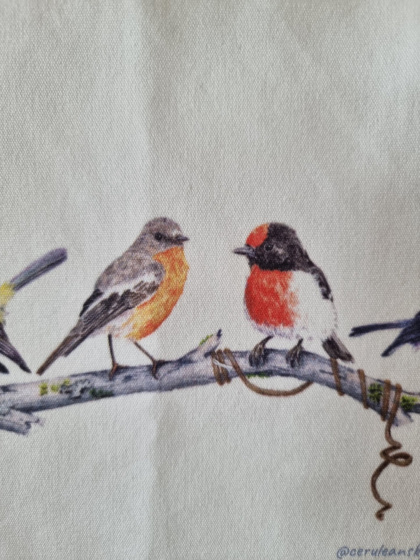 Tote Bag - Nature's Melody: An Australian Robin Quartet - Small