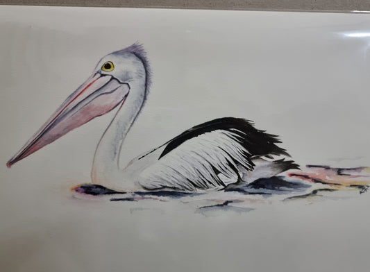 Pelican - Original Watercolour Painting