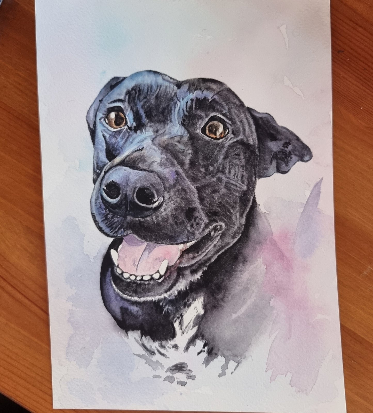 Commission - June '24 (Custom Pet Portrait or Other)