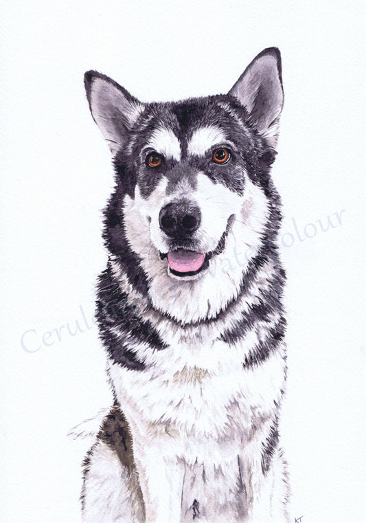 Commission - December '24  (Custom Pet Portrait or Other)