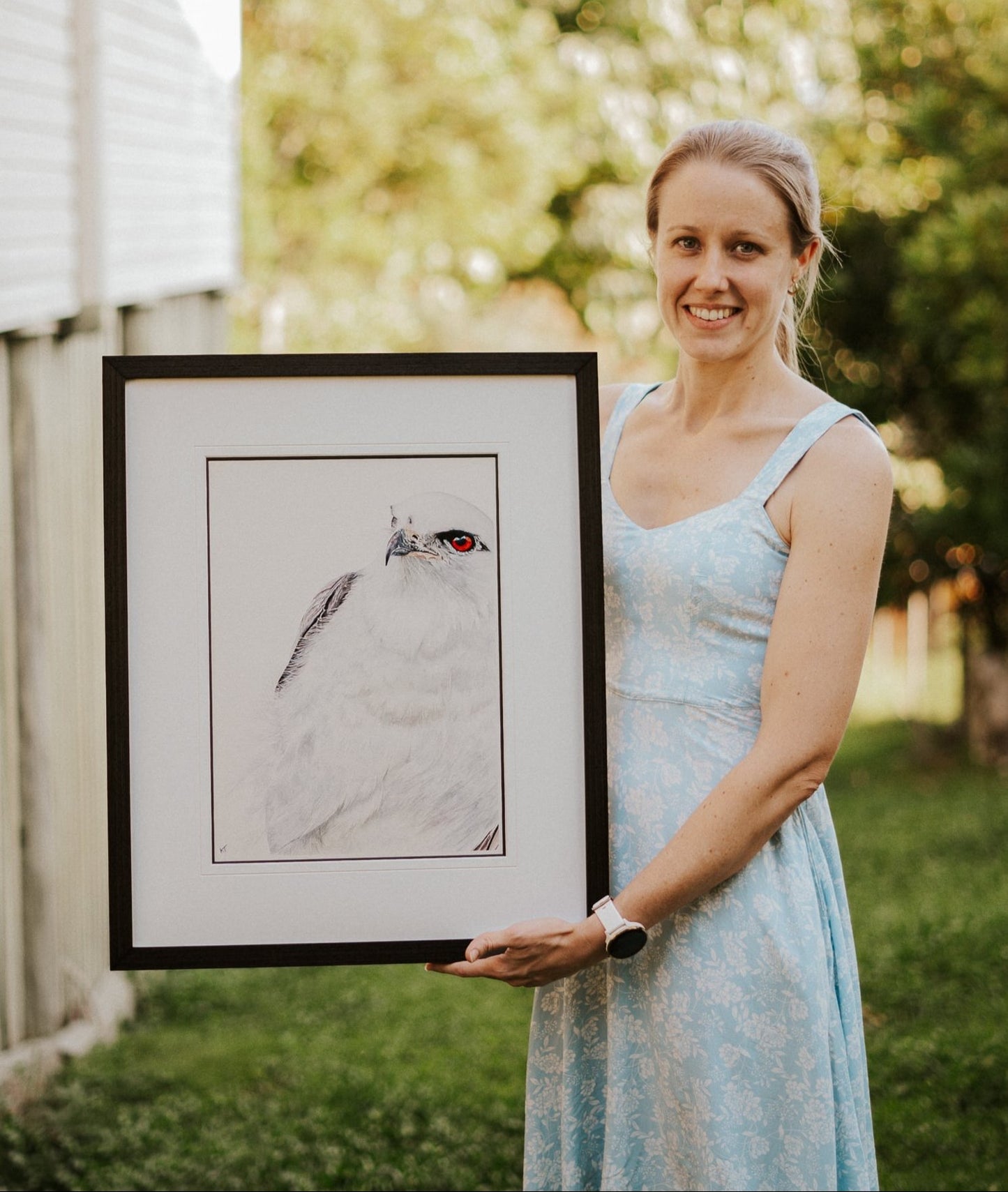 Ethereal Hunter: Black-shouldered kite (Fine Art / Giclee Print)