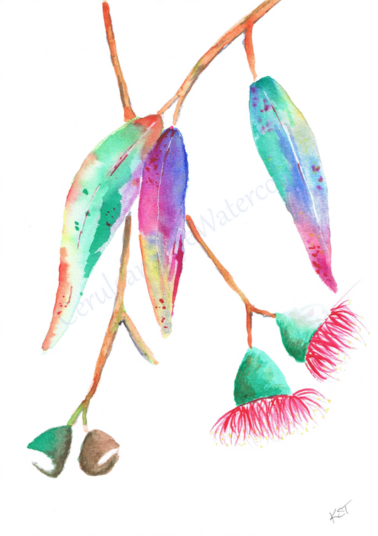 Eucalyptus Enchantment (Fine Art / Giclee Print)