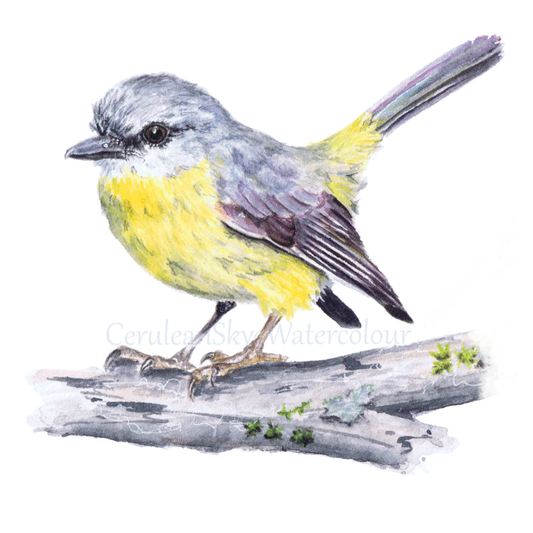 Sunlit Whispers: Eastern Yellow Robin (Fine Art / Giclee Print)