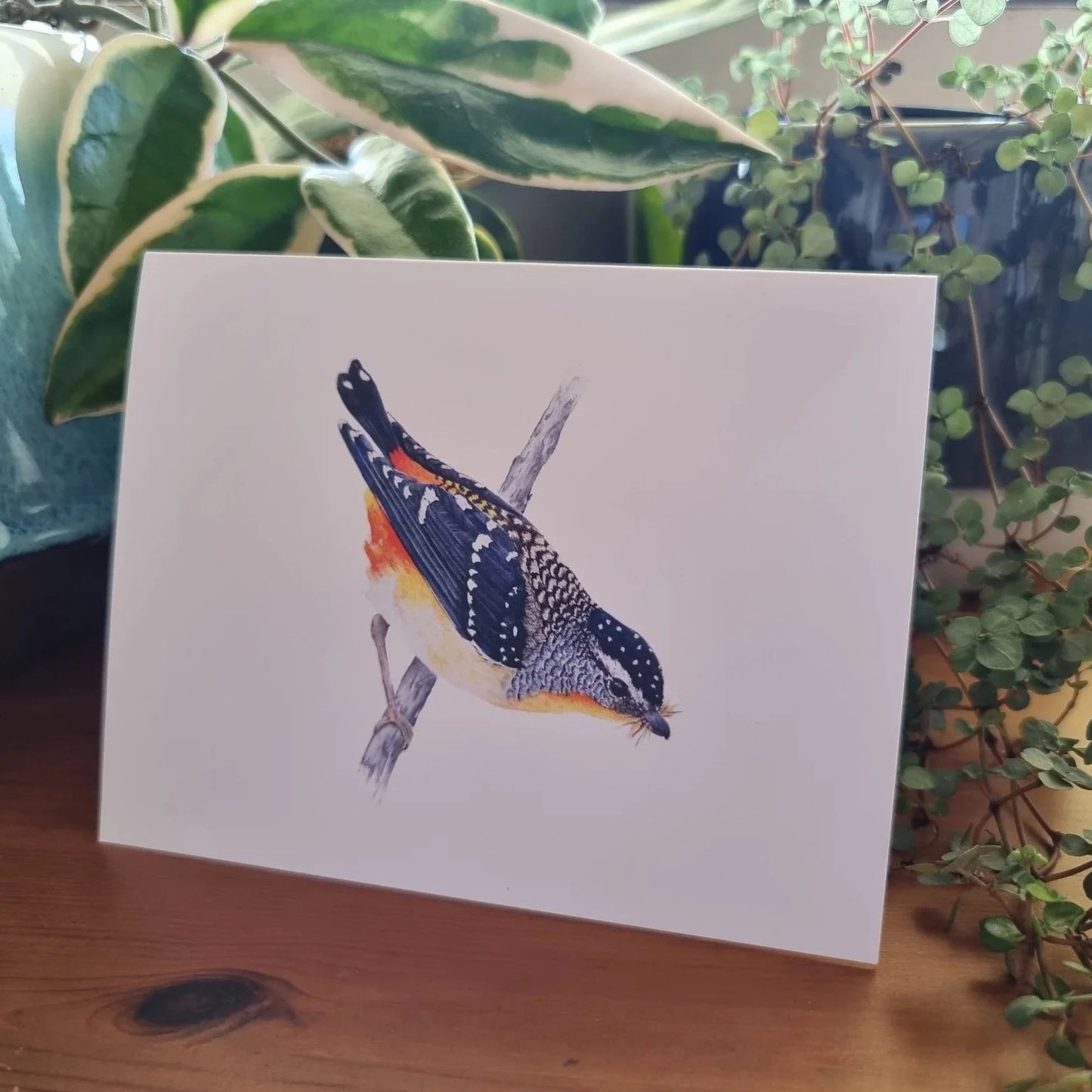 Card - Spotted Splendor: A Pardalote Portait