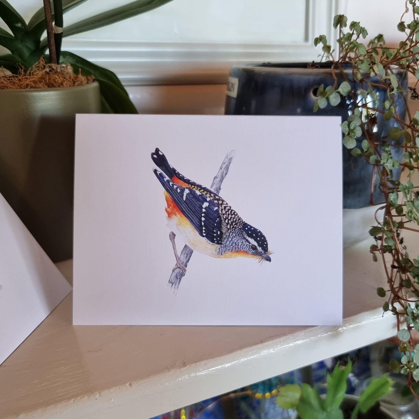 Card - Spotted Splendor: A Pardalote Portait