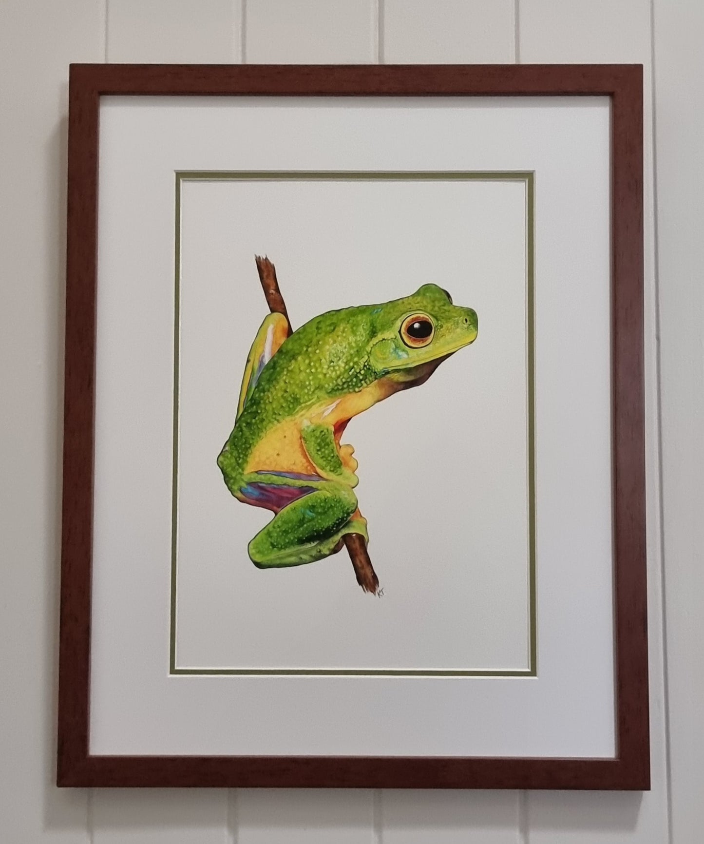 Emerald Elegance: Cape York Graceful Treefrog. Original Watercolour Painting. Framed