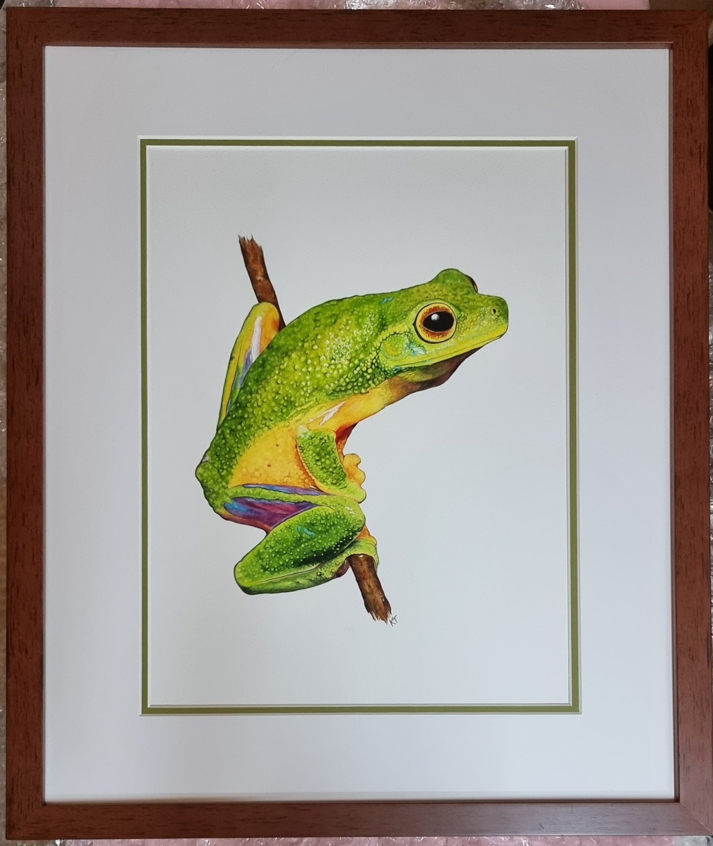 Emerald Elegance: Cape York Graceful Treefrog. Original Watercolour Painting. Framed