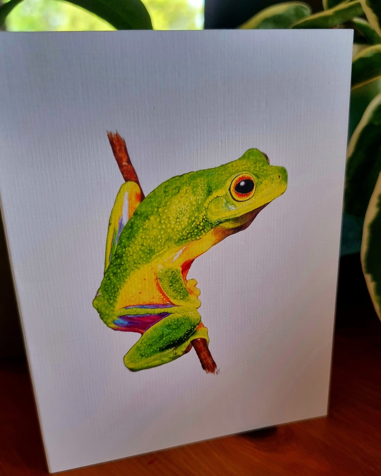 Card - Emerald Elegance: Cape York Graceful Treefrog
