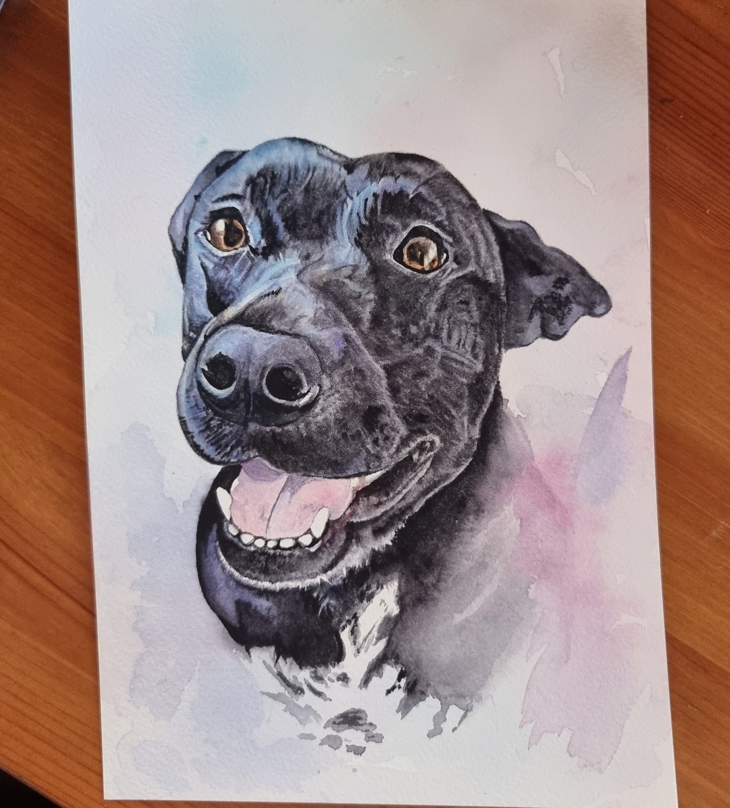 Commission - September '24  (Custom Pet Portrait or Other)