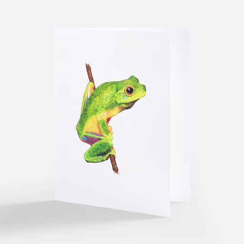 Card - Emerald Elegance: Cape York Graceful Treefrog