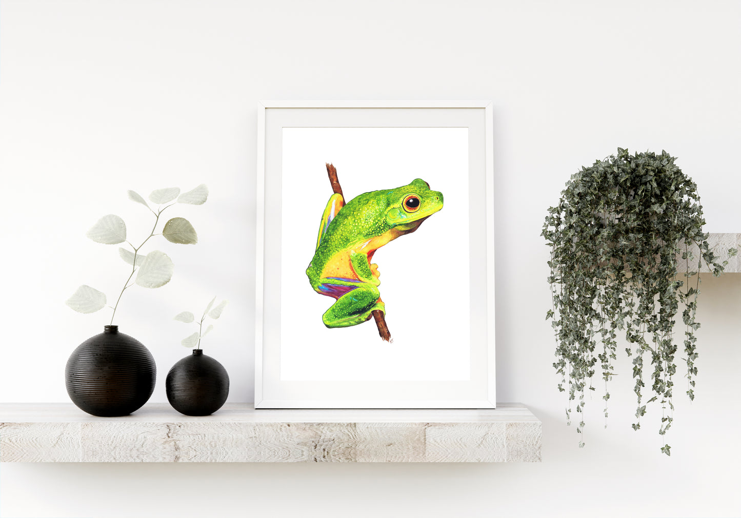 Emerald Elegance: Cape York Graceful Treefrog (Fine Art / Giclee Print)