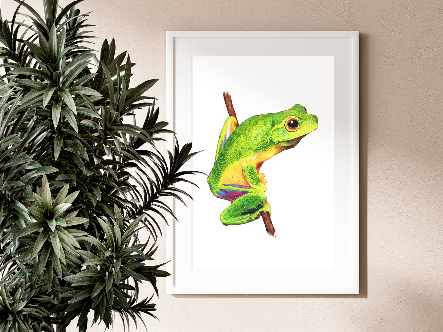 Emerald Elegance: Cape York Graceful Treefrog (Fine Art / Giclee Print)