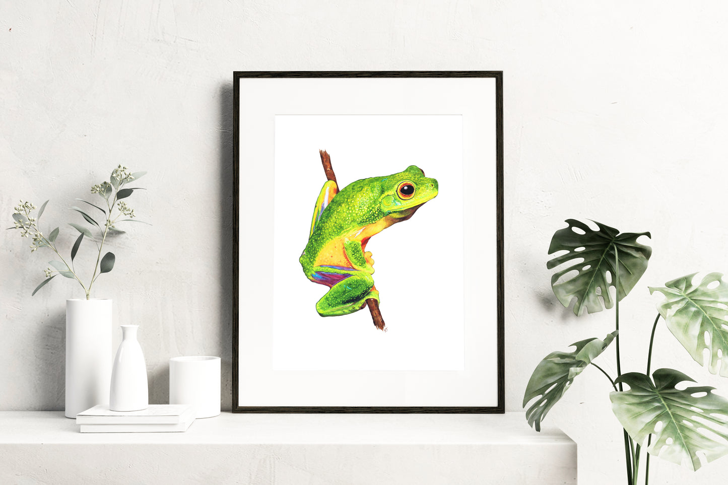 Emerald Elegance: Cape York Graceful Treefrog (Fine Art / Giclee Print)