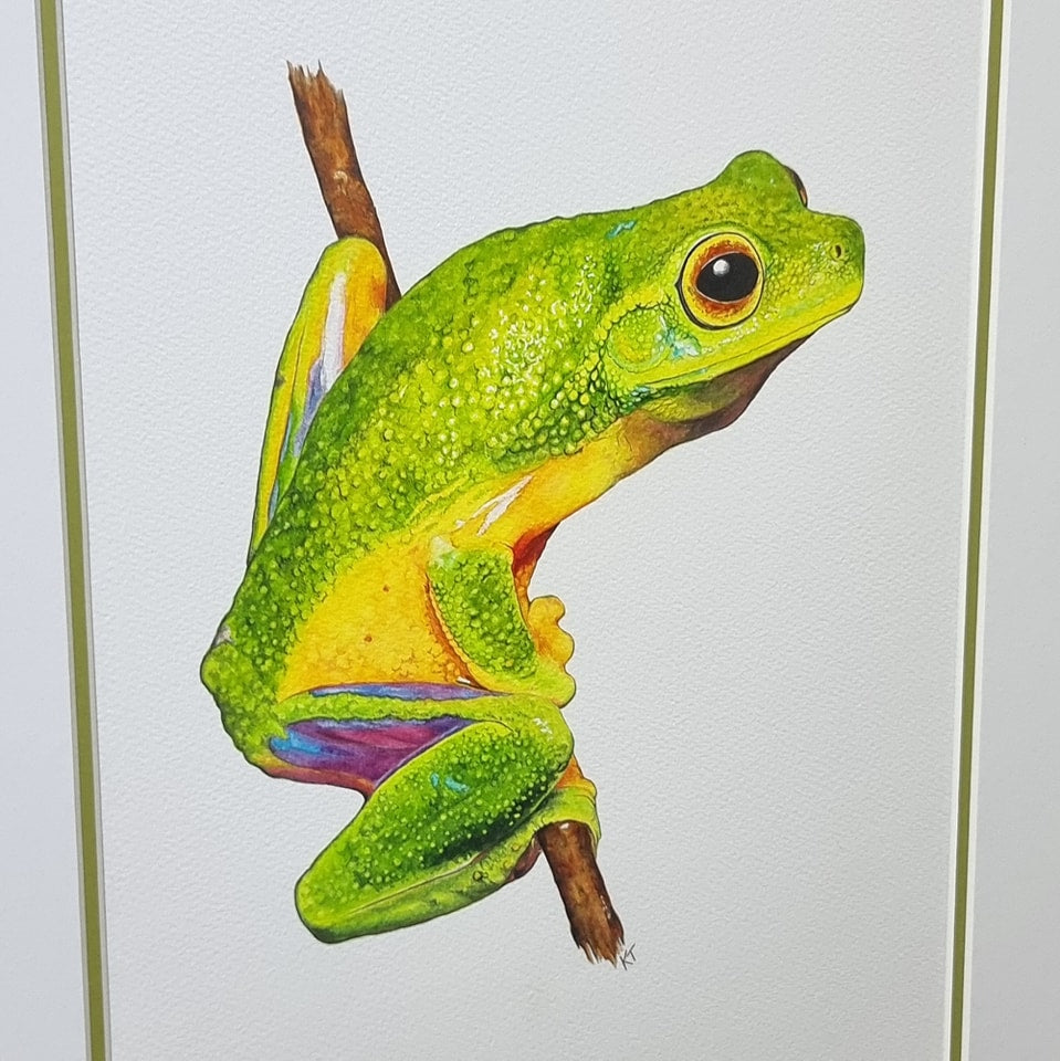 Emerald Elegance: Cape York Graceful Treefrog. Original Watercolour Painting. Framed