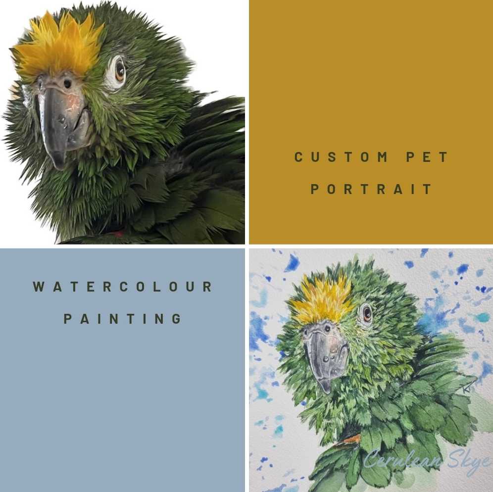 Commission - July '24  (Custom Pet Portrait or Other)