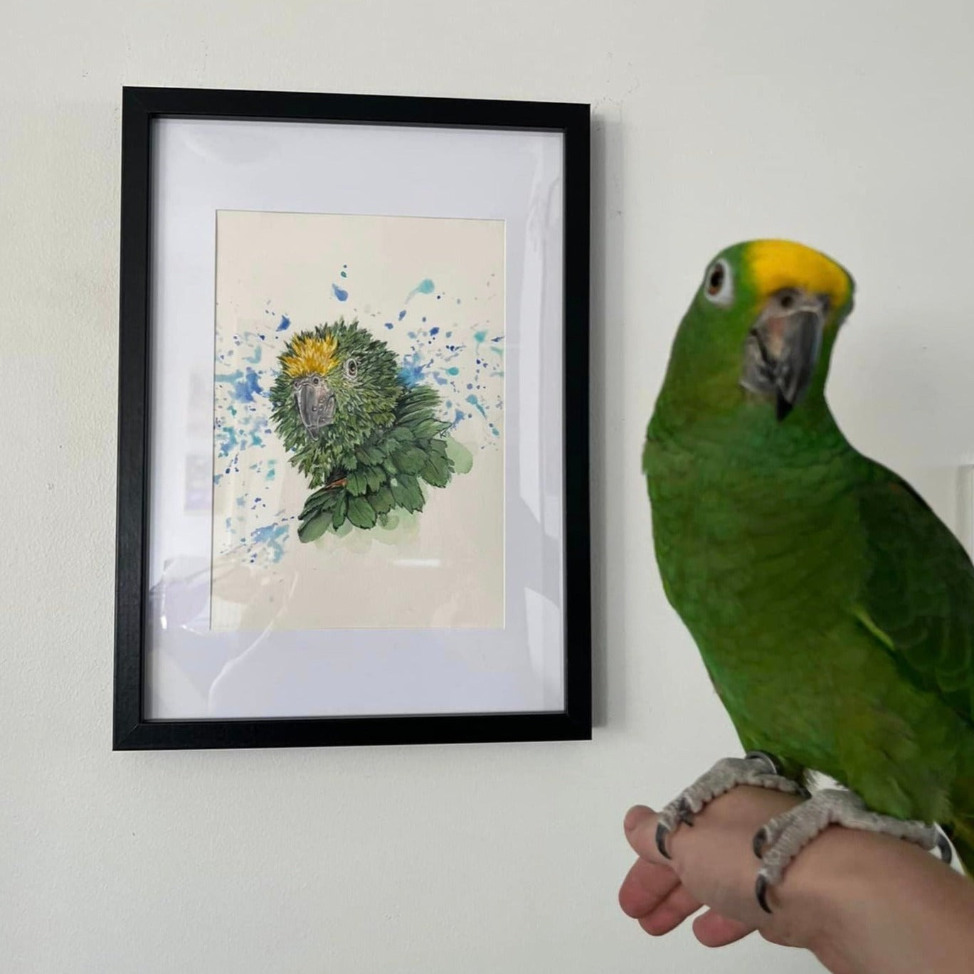 Commission - September '24  (Custom Pet Portrait or Other)