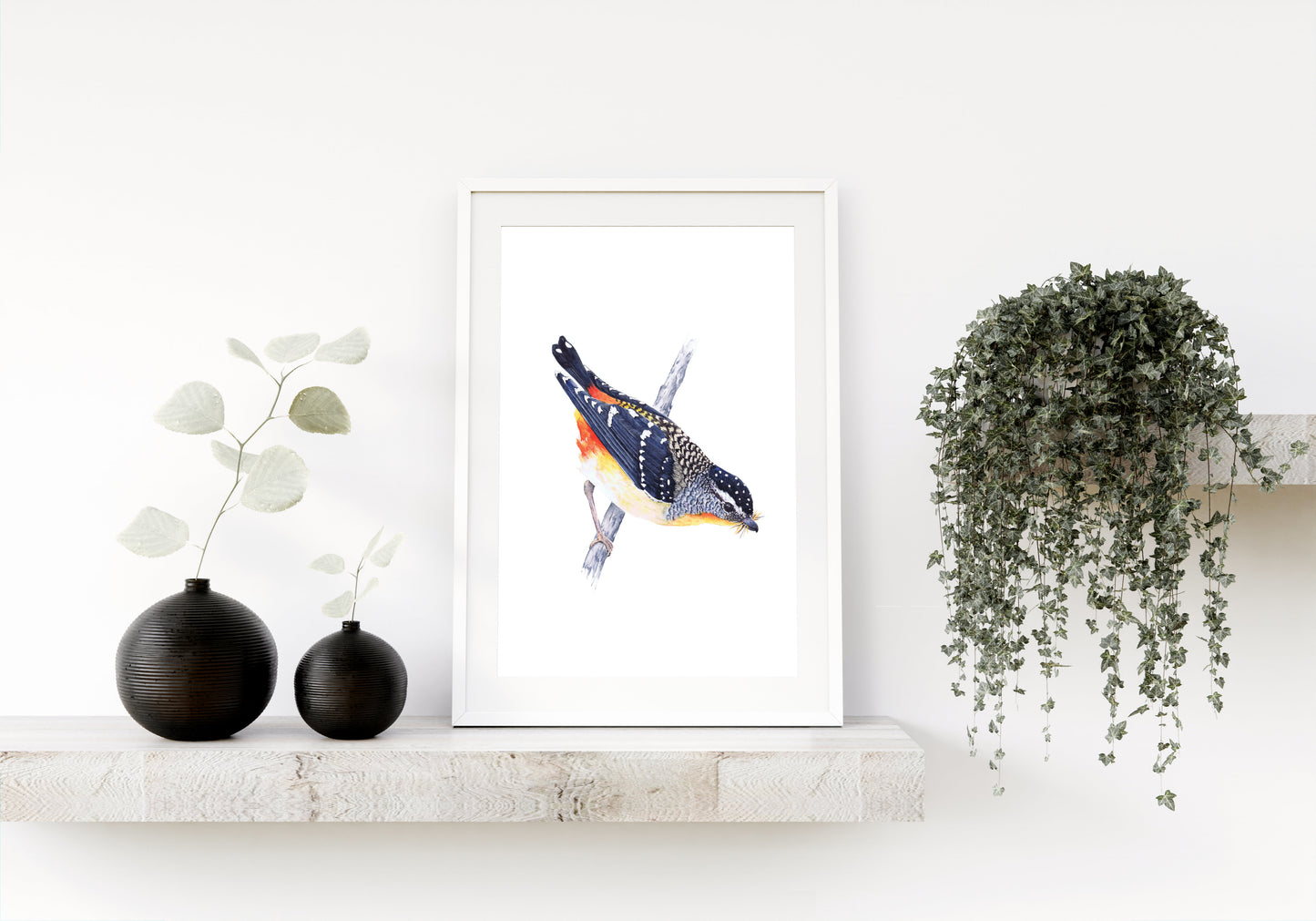 Spotted Splendor: A Pardalote Portrait (Fine Art / Giclee Print)