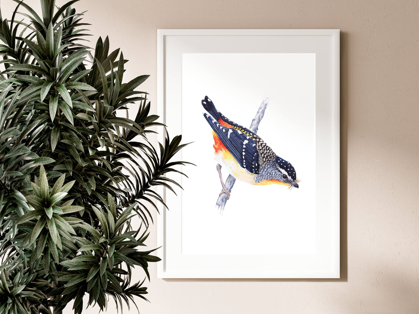 Spotted Splendor: A Pardalote Portrait (Fine Art / Giclee Print)