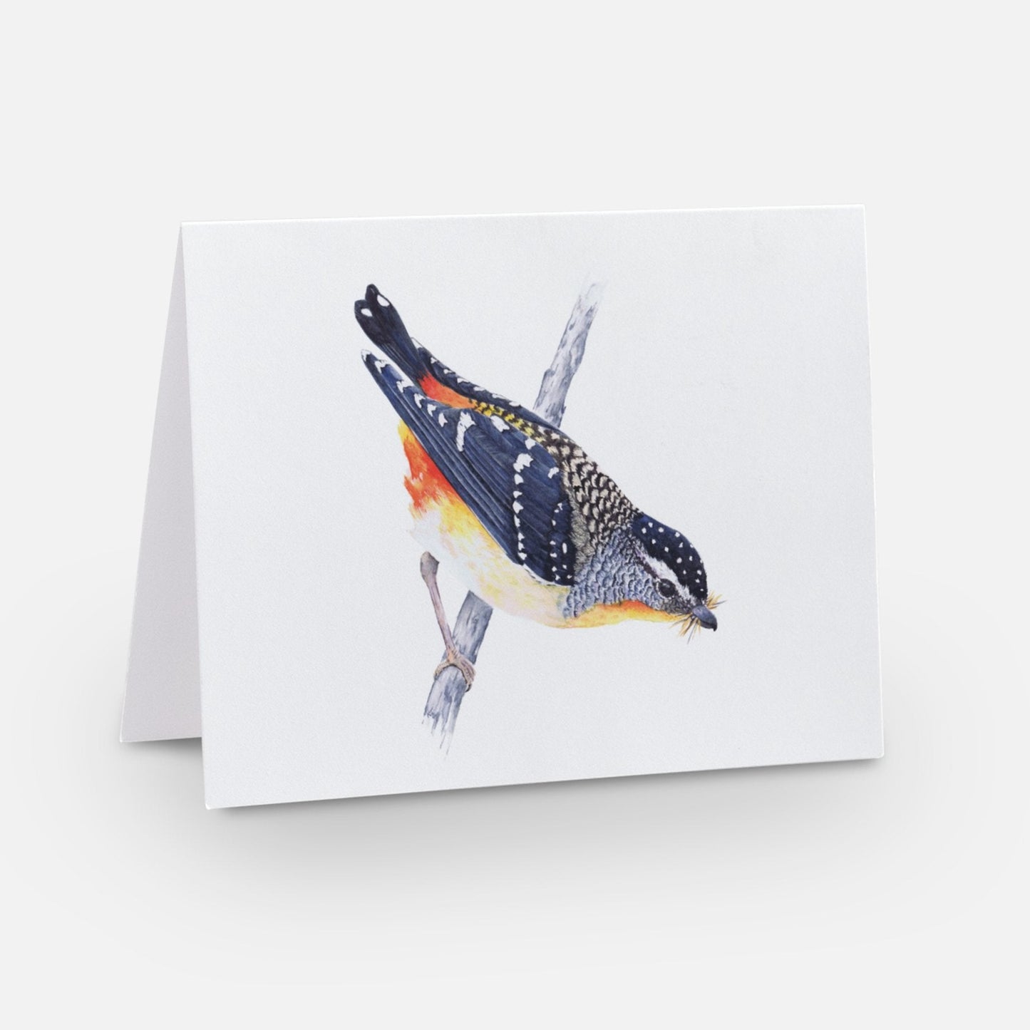 Card - Spotted Splendor: A Pardalote Portait