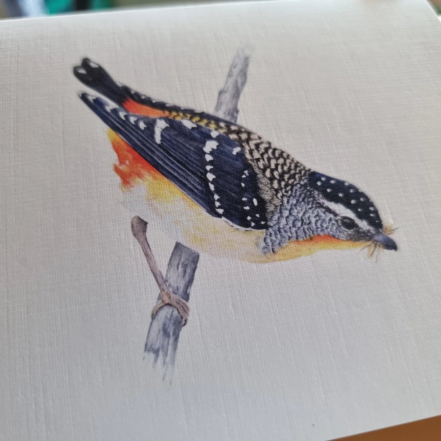 Card - Spotted Splendor: A Pardalote Portait