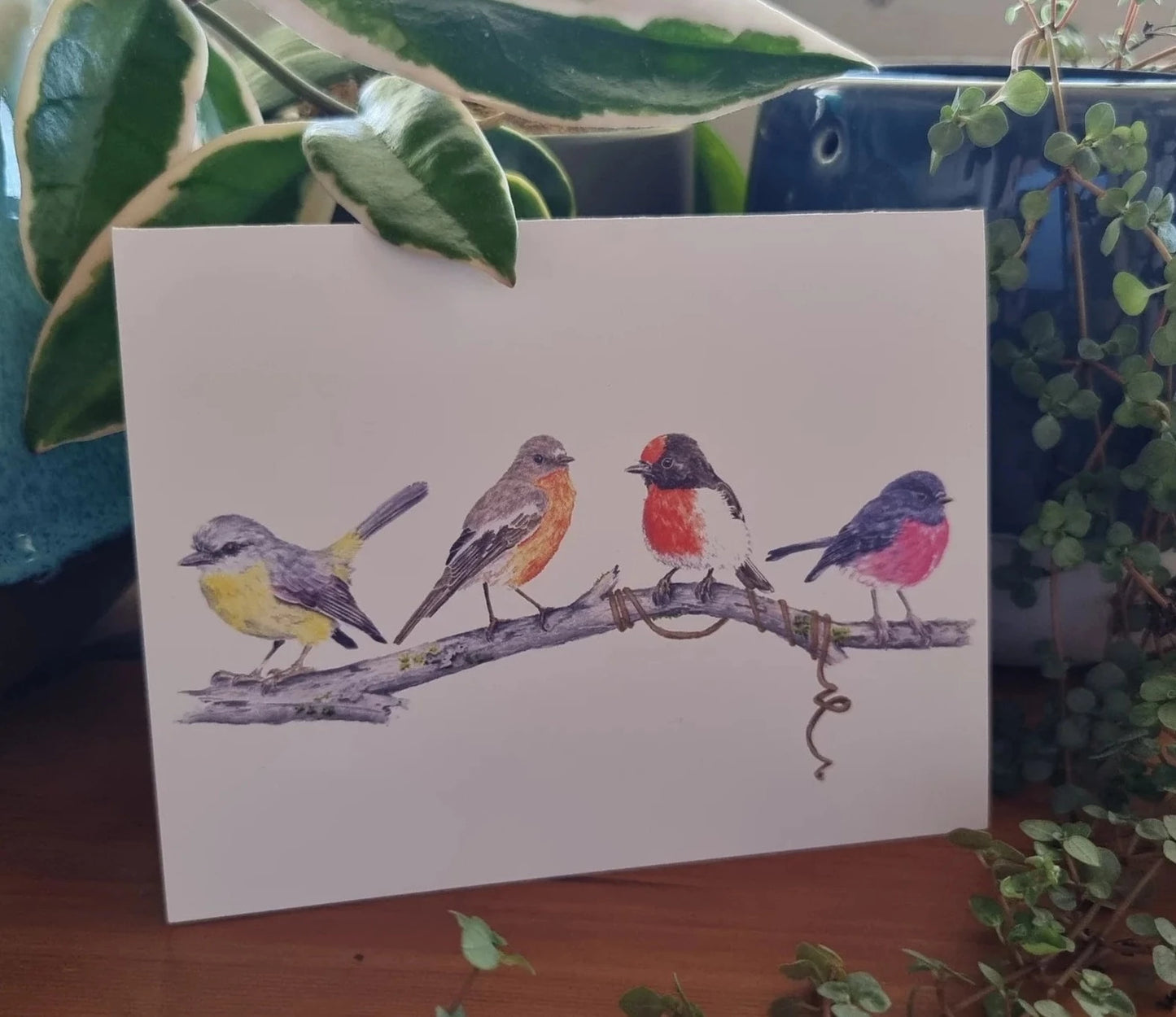 Card - Nature's Melody: An Australian Robin Quartet