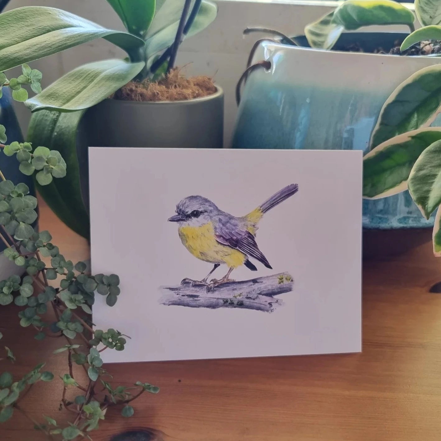 Card - Sunlit Whispers: Eastern Yellow Robin