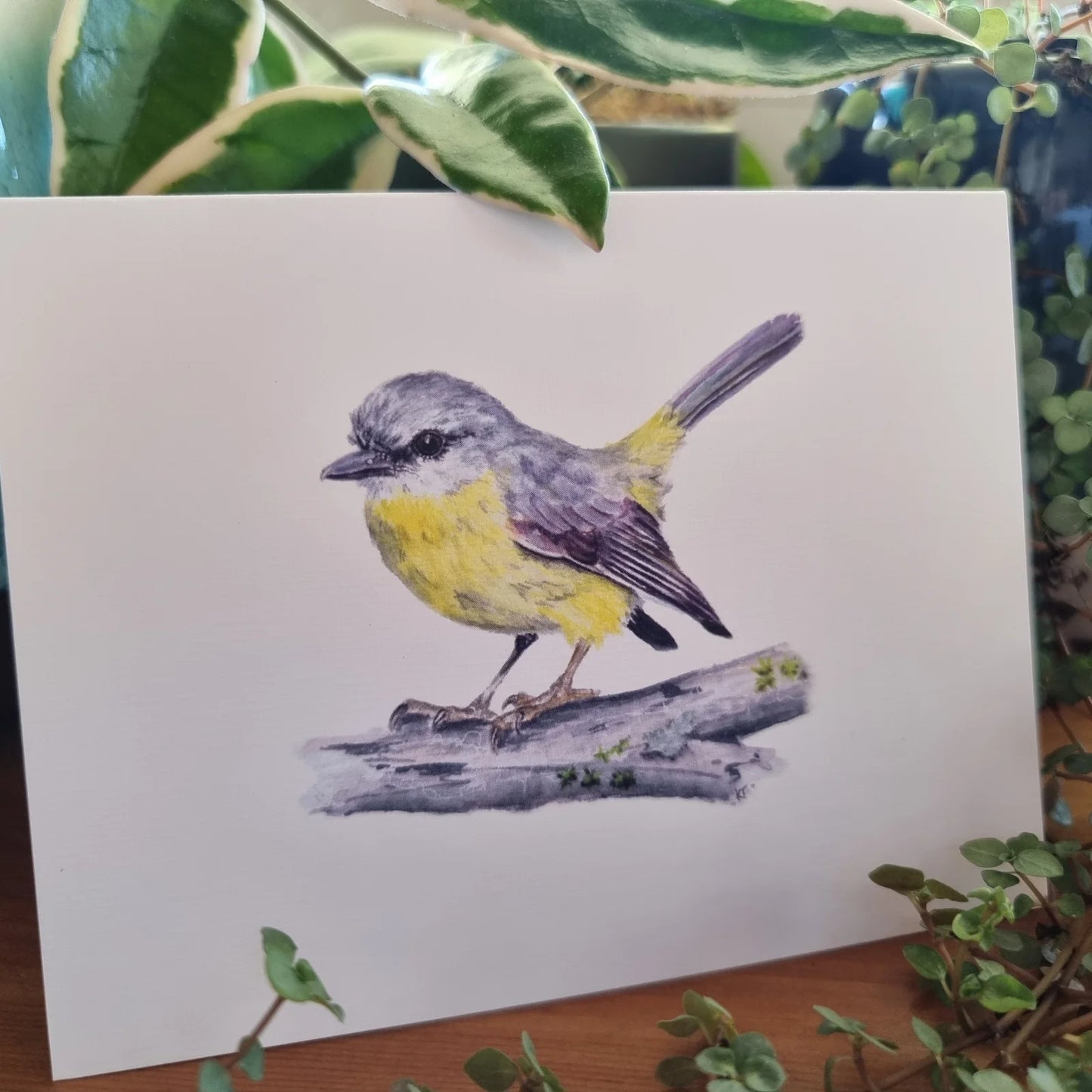 Card - Sunlit Whispers: Eastern Yellow Robin